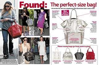 Fab's Perfect Size Bag